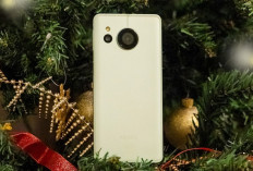 Sharp Aquos Sense8: Smartphone Pintar dengan Kamera Canggih dan Baterai Super Tahan