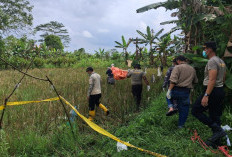 Jenazah Perempuan Tanpa Identitas Ditemukan, Polisi Minta Bantuan Warga untuk Identifikasi