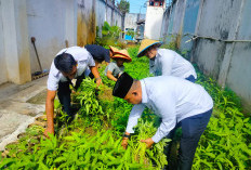 Kalapas Martapura Panen Kangkung Perdana di Lapas 