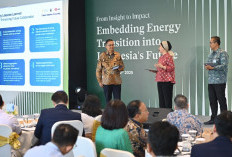Climate Solutions Partnership: Dorong Dekarbonisasi Industri Dan Kolaborasi Di Indonesia