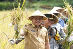 Pemkab OKU Panen Raya  di 219,3 Hektar