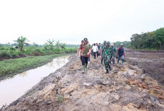 Bupati OKU Timur Enos Tinjau Lokasi Optimalisasi Lahan di Kecamatan Cempaka