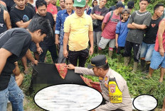 Petani Tewas dengan Sembilan Luka Tusukan