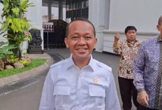 Bahlil: Fokus Proyek Hilirisasi Nikel, Baterai dan Bahan Baku Mobil