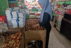 Harga Telur Melambung Tinggi