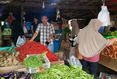 Dinas Ketahanan Pangan OKU Selatan Rutin Pantau Harga Sembako