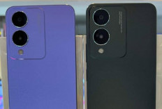 Perbedaan Vivo Y21a Vs Vivo Y17s: Dibandrol dengan Harga Pelajar, Pilih Mana?