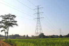 Pemerintah Putuskan Tarif Listrik Tidak Naik