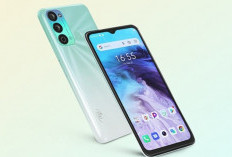 Itel Vision 3 Plus: Smartphone Canggih dengan Layar Besar dan Performa Mengagumkan!