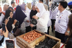 Tinjau Pasar Murah Hari Jadi Sumsel Ke-79, Pastikan Kualitas Produk dengan Harga Lebih Murah