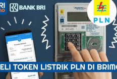 Solusi Cerdas Ibu Rumah Tangga: Beli Token Listrik Praktis dengan BRImo