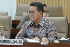 97 Persen Penjual Online UMKM, Pemerintah Dorong Persaingan Digital yang Sehat