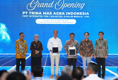 Industri Panel Surya Investasi Rp 1,5 Triliun di Kendal, Dukung Kemandirian EBT