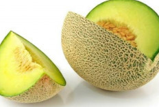 Benarkah Dengan Mengonsumsi Buah Melon Bisa Mengatasi Flu ? Simak Berikut Ini