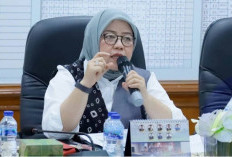 Dekranasda OKU Selatan Perkuat Pembinaan UMKM Kerajinan Lokal