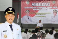 Wamenkop: Launching 19 Juli di Klaten, Ada 92 Percontohan Koperasi Desa