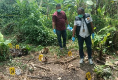 Tulang Belulang Ditemukan Warga di Areal Perkebunan Pisang OKU Selatan, Polisi Lakukan Identifikasi