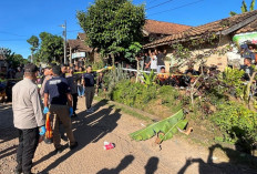 Penemuan Jasad Pria di Pinggir Jalan Hebohkan Warga, Polisi Lakukan Penyelidikan