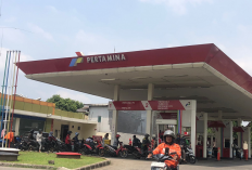 Dewan Komisaris Baru Pertamina Patra Niaga Ada Istri Komandan TKN Fanta Prabowo