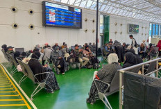 6.047 Jemaah Umrah Telah Pulang ke Tanah Air, Kemenhaj Pastikan Pelindungan Maksimal