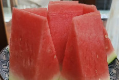 8 Manfaat Buah Semangka untuk Menjaga Penuaan Dini