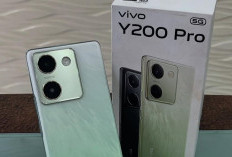 Vivo Y200 Pro 5G: Spesifikasi Hp Gen Z yang Canggih