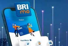 Tak Perlu Khawatir Telat Bayar Listrik ada Brimo Bayar Kapan Saja lewat Handphone 