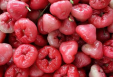 Selain Kaya Vitamin, Jambu Air Bisa Mengontrol Diabetes dengan Alami 