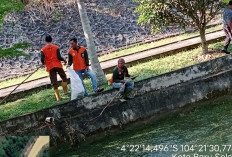 Hari Lingkungan Hidup Sedunia, DLH OKU Timur Tebar Benih Ikan hingga Tuangkan 300 Botol Eco-enzyme