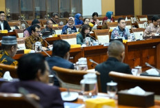 Optimalkan Penanganan Judi Online, Menkomdigi Segera Bentuk Tim 