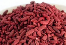 Angkak Merah Memiliki Potensi Manfaat Bagi Kesehatan, Termasuk Membantu Penyembuhan Demam Berdarah