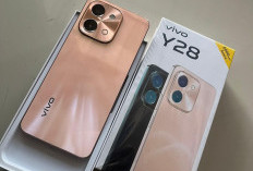 Perbandingan Spesifikasi Infinix Zero 30 Vs Vivo Y28, Duel Hp Murah Rp 2 Jutaan