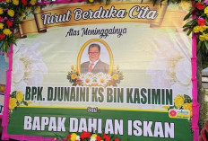 Matahari Kembar