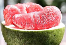 5 Buah yang Dapat Membantu Sukseskan Diet, Solusi Alami Turunkan Berat Badan