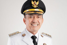 Pilwako Palembang 2024 Elektabilitas Ratu Dewa Paling Unggul Menurut Survei LKPI