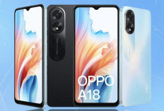 Hp Rp1 Jutaan Mana yang Gacor untuk Harian, Oppo A18 vs ZTE Blade A54