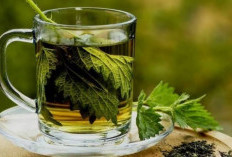 Solusi Alami Dalam Mengurangi Kejang Otot dengan Mengonsumsi Teh Peterseli