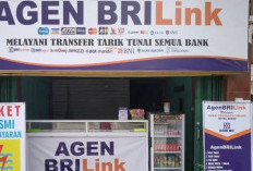 Agen Brilink Sasar Hingga Desa Sukapulih, Banyak PMI Transfer Uang Lewat Agen Brilink 