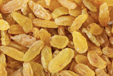 Kaya Akan Serat, Kismis Juga Bisa Dalam Menurunkan Risiko Penyakit Kronis