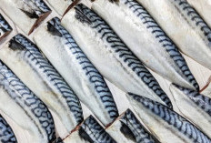 Kaya Omega-3 dan Vitamin Esensial, Makarel Bantu Kulit Tetap Muda dan Sehat