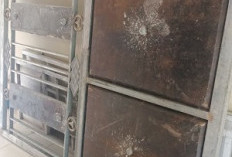 Curi Pagar Untuk Judol, Supir Ekspedisi Diringkus 