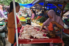 Lebaran Idul Fitri 1445 H Harga Daging Ayam Mulai Meroket 
