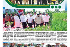 Bupati Enos Ikut Sukseskan Gerakan Tanam Padi Serentak, Wujukan Target OKU Timur Satu Juta Ton Gabah Kering