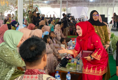 Pemilu 2024, Lilik Setio Rini Berpeluang Duduki Kursi DPRD Provinsi Sumsel