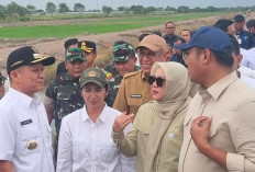 Dampinggi Wamen, Bupati Enos Paparkan Rencana Cetak Sawah Baru dan Pengoptimalan Lahan Tidur