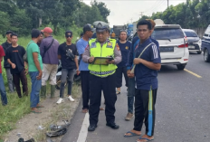 Lakantas Honda Scoopy vs Truck box Isuzu, 1 Keluarga Alami Kecelakaan di Jalinteng Palembang-Prabumulih