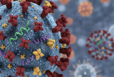 Kemenkes Pastikan Influenza A Subclade K Terkendali