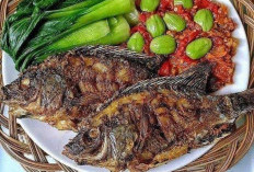 Resep Lengkap Ikan Goreng Sambal Tomat yang Lezat