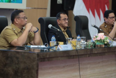 Sumsel Bidik Wisata Kesehatan, Layanan Medis dan Pariwisata Terus Diperkuat