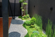Punya Lahan Terbatas! 8 Ide Desain yang Cocok untuk Taman Minimalis 